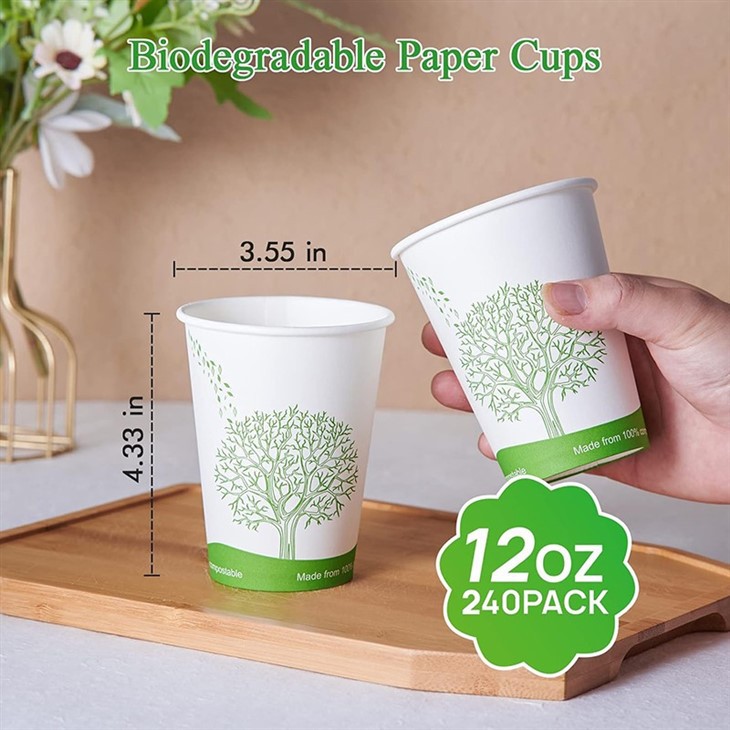 12OZ Paper Coffee Cups