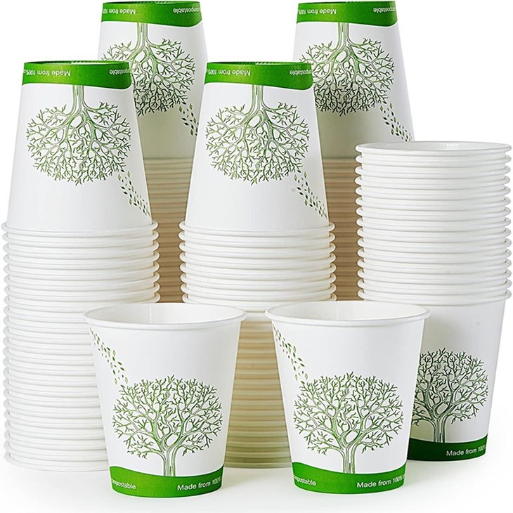 paper cups environmentally friendly
