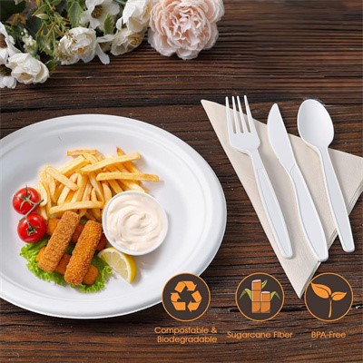 disposable plates disposable plates